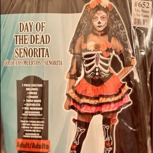Adult women’s Halloween costume